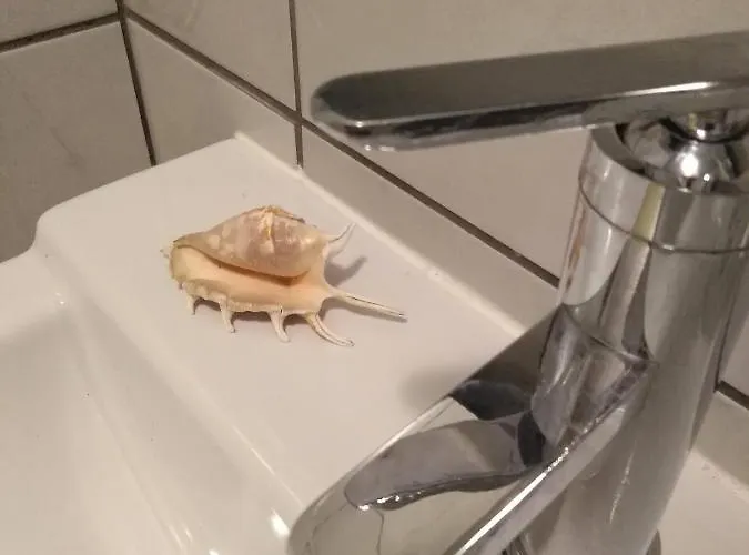 Regio Homestay Vila do Conde