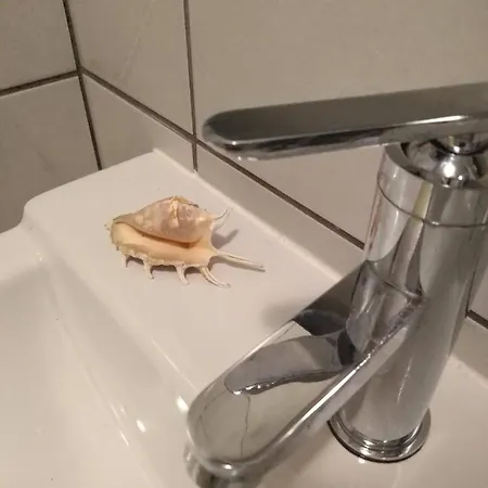 Regio Habitación en casa particular Vila do Conde